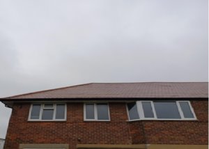 Front view